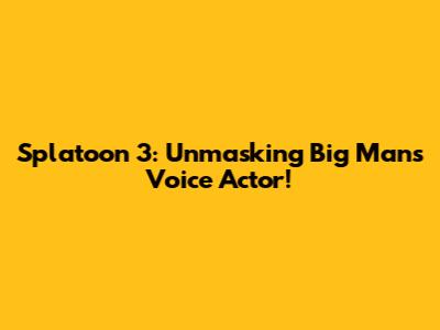 Splatoon 3: Unmasking Big Man's Voice Actor!