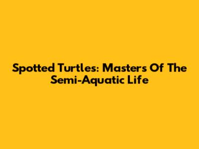 Spotted Turtles: Masters Of The Semi-Aquatic Life
