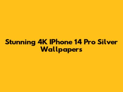 Stunning 4K IPhone 14 Pro Silver Wallpapers