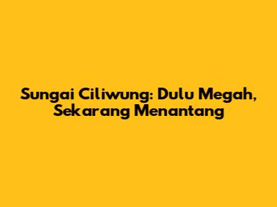 Sungai Ciliwung: Dulu Megah, Sekarang Menantang