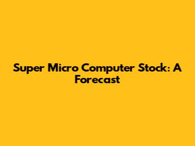 Super Micro Computer Stock: A Forecast