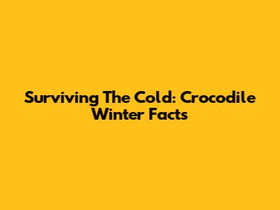 Surviving The Cold: Crocodile Winter Facts