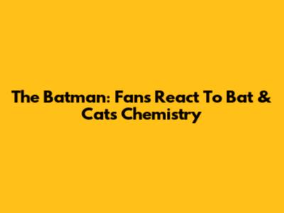 The Batman: Fans React To Bat & Cat's Chemistry