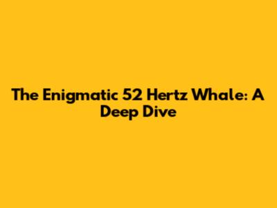 The Enigmatic 52 Hertz Whale: A Deep Dive