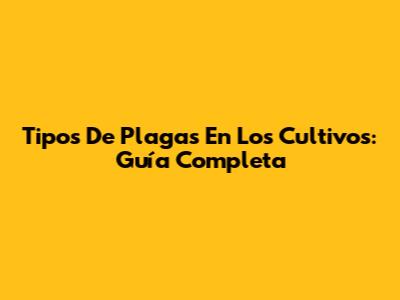 Tipos De Plagas En Los Cultivos: Guía Completa