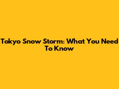 Tokyo Snow Storm: What You Need To Know