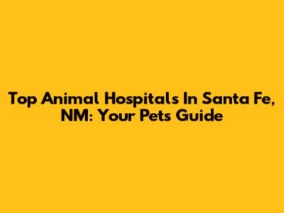 Top Animal Hospitals In Santa Fe, NM: Your Pet's Guide