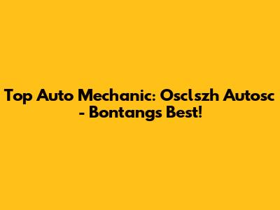 Top Auto Mechanic: Osclszh Autosc - Bontang's Best!