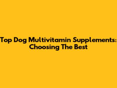 Top Dog Multivitamin Supplements: Choosing The Best