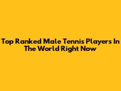 Top Ranked Male Tennis Players In The World Right Now