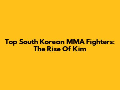 Top South Korean MMA Fighters: The Rise Of Kim