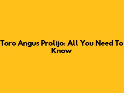 Toro Angus Prolijo: All You Need To Know