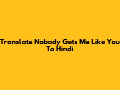 Translate "Nobody Gets Me Like You" To Hindi