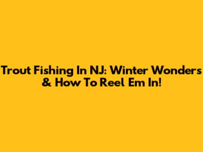 Trout Fishing In NJ: Winter Wonders & How To Reel 'Em In!