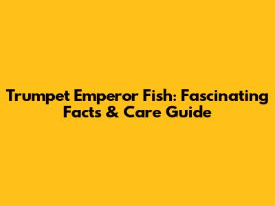 Trumpet Emperor Fish: Fascinating Facts & Care Guide