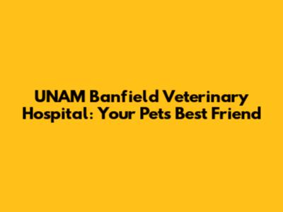 UNAM Banfield Veterinary Hospital: Your Pet's Best Friend