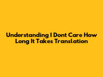Understanding "I Don't Care How Long It Takes" Translation