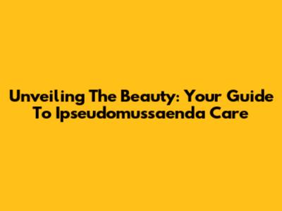 Unveiling The Beauty: Your Guide To Ipseudomussaenda Care