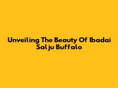 Unveiling The Beauty Of 'Ibadai Salju Buffalo'
