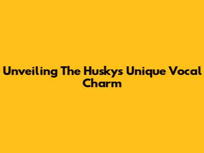 Unveiling The Husky's Unique Vocal Charm