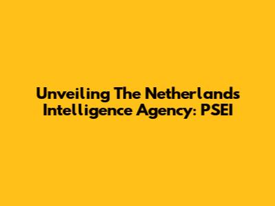 Unveiling The Netherlands' Intelligence Agency: PSEI
