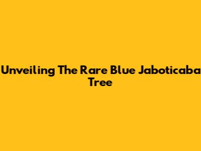 Unveiling The Rare Blue Jaboticaba Tree