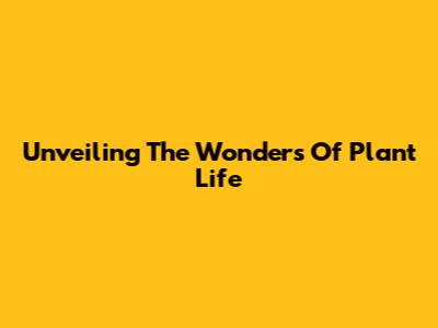Unveiling The Wonders Of Plant Life