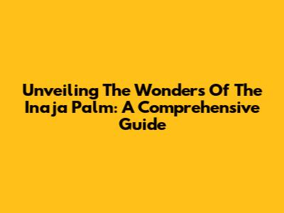 Unveiling The Wonders Of The Inaja Palm: A Comprehensive Guide