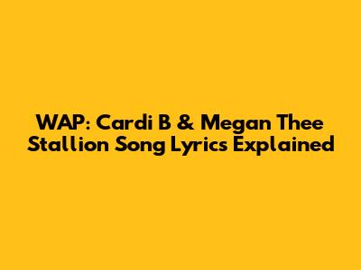 WAP: Cardi B & Megan Thee Stallion Song Lyrics Explained