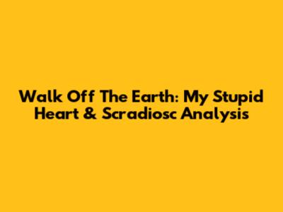 Walk Off The Earth: 'My Stupid Heart' & Scradiosc Analysis