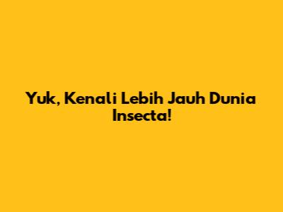 Yuk, Kenali Lebih Jauh Dunia Insecta!