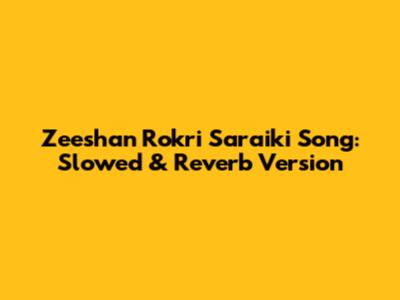Zeeshan Rokri Saraiki Song: Slowed & Reverb Version