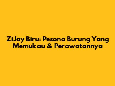 ZiJay Biru: Pesona Burung Yang Memukau & Perawatannya