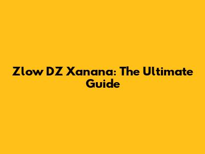 Zlow DZ Xanana: The Ultimate Guide