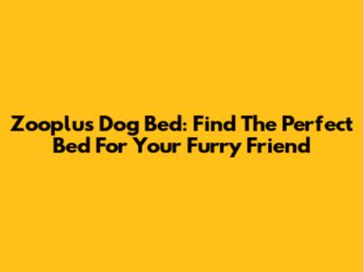 Zooplus Dog Bed: Find The Perfect Bed For Your Furry Friend